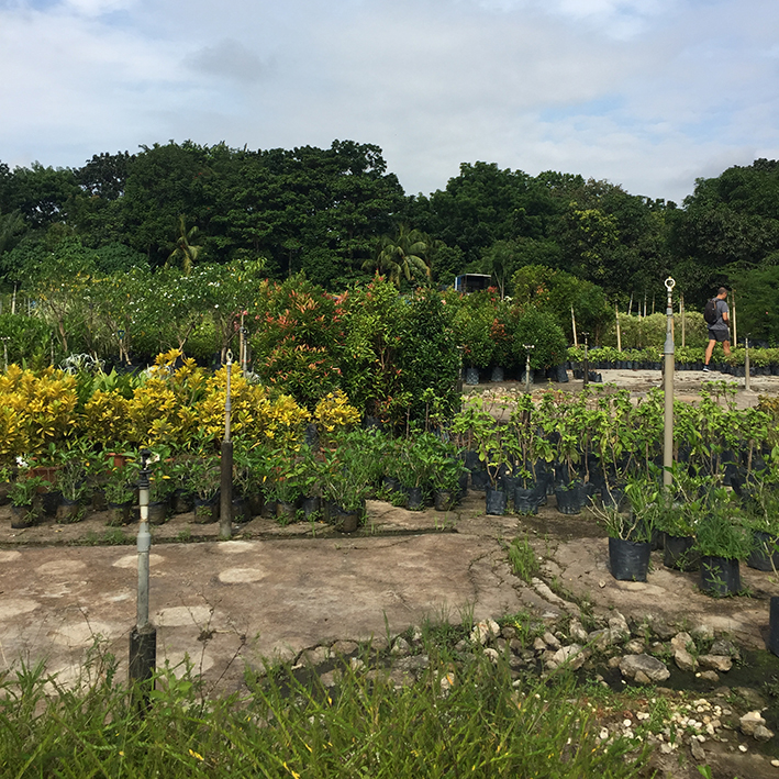 f:id:yangpingsan:20201226104942j:plain