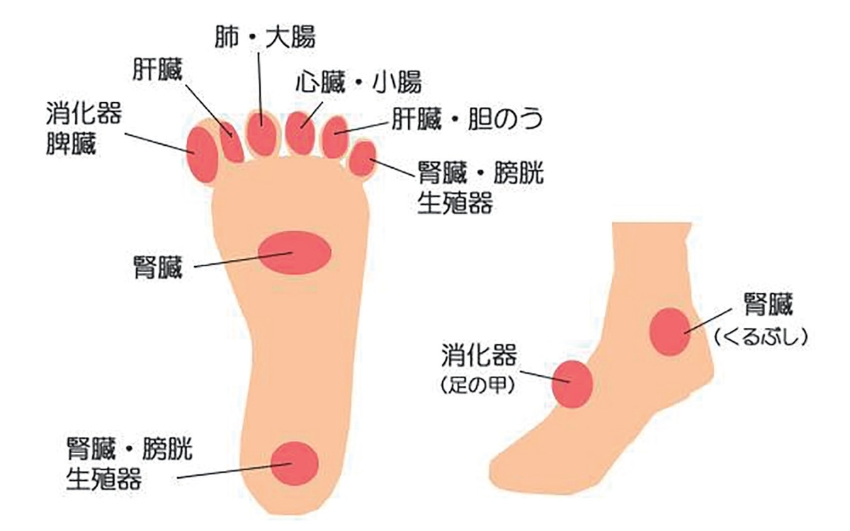 f:id:yangpingsan:20220209180614j:plain