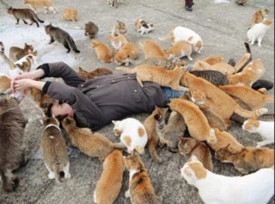 f:id:yangpingsan:20220321132638j:plain