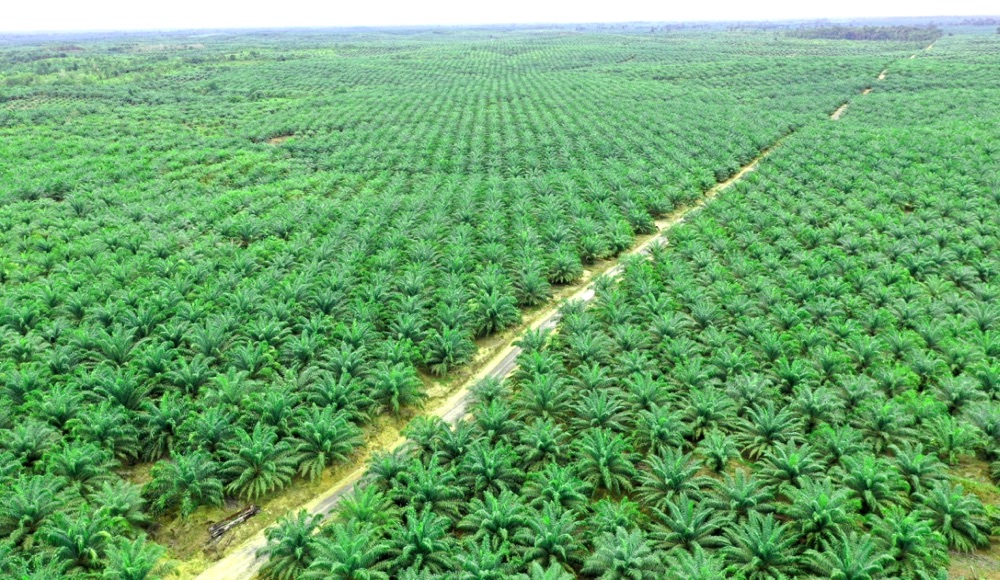 f:id:yangpingsan:20220407201650j:plain