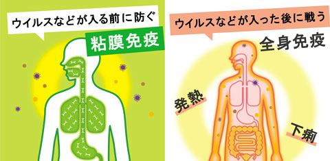 f:id:yangpingsan:20220408151643j:plain