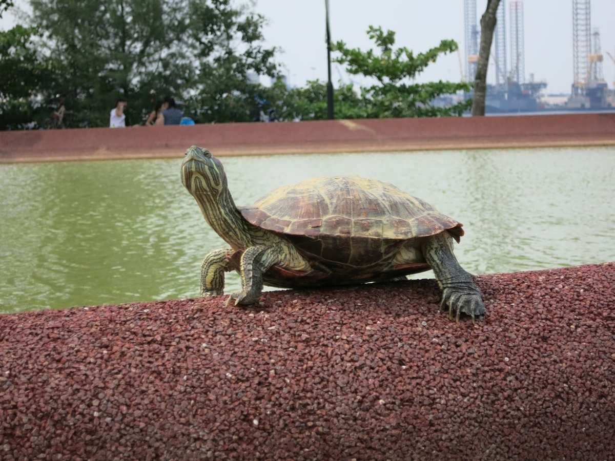 f:id:yangpingsan:20220417214027j:plain