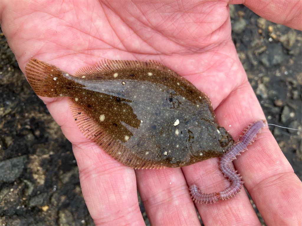 f:id:yangyang5:20230719215240j:image