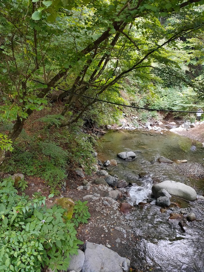 道志の森キャンプ場