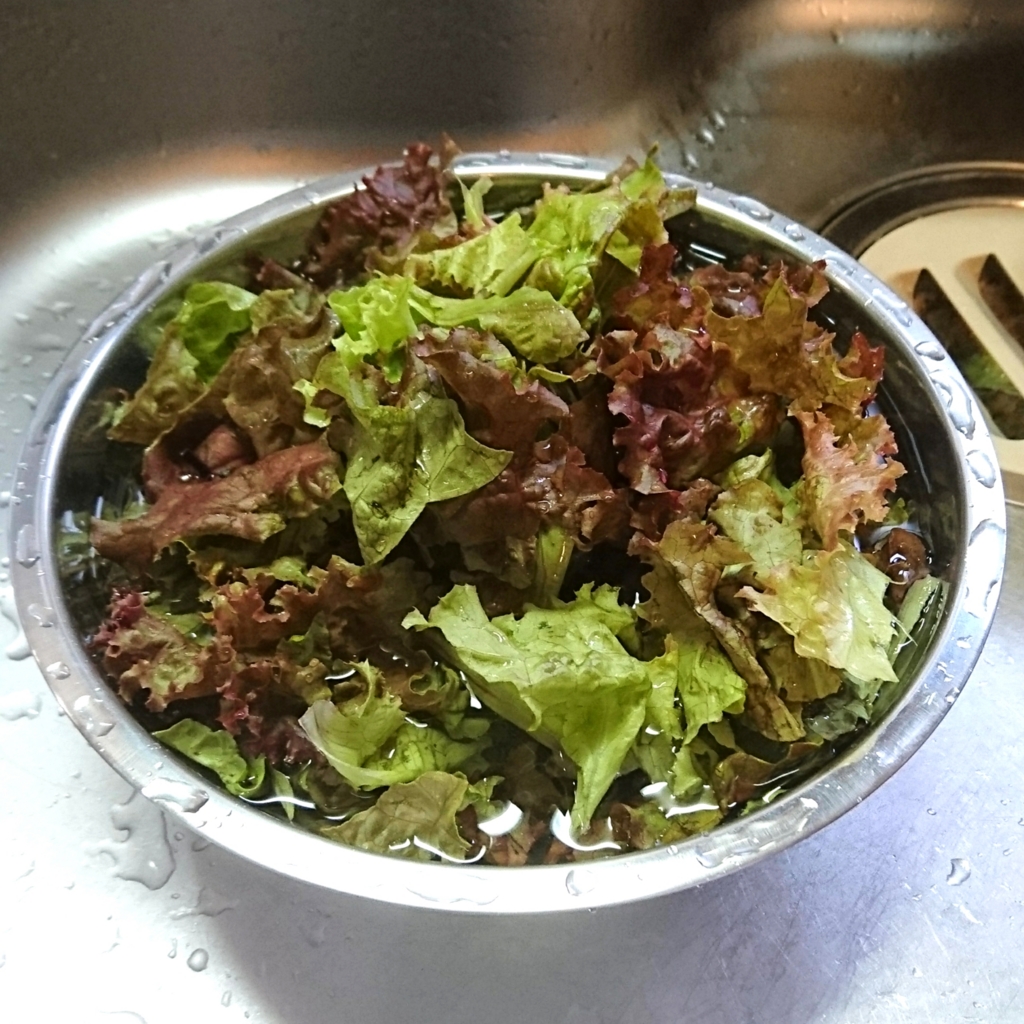 f:id:yanokenta32:20170522203857j:plain:w350