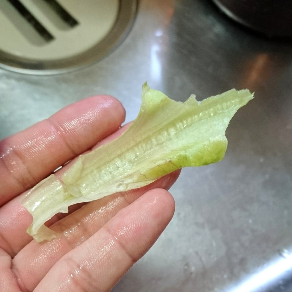 f:id:yanokenta32:20170522204425j:plain:w350