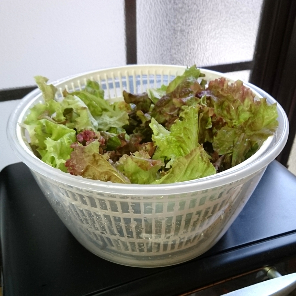 f:id:yanokenta32:20170522204559j:plain:w350