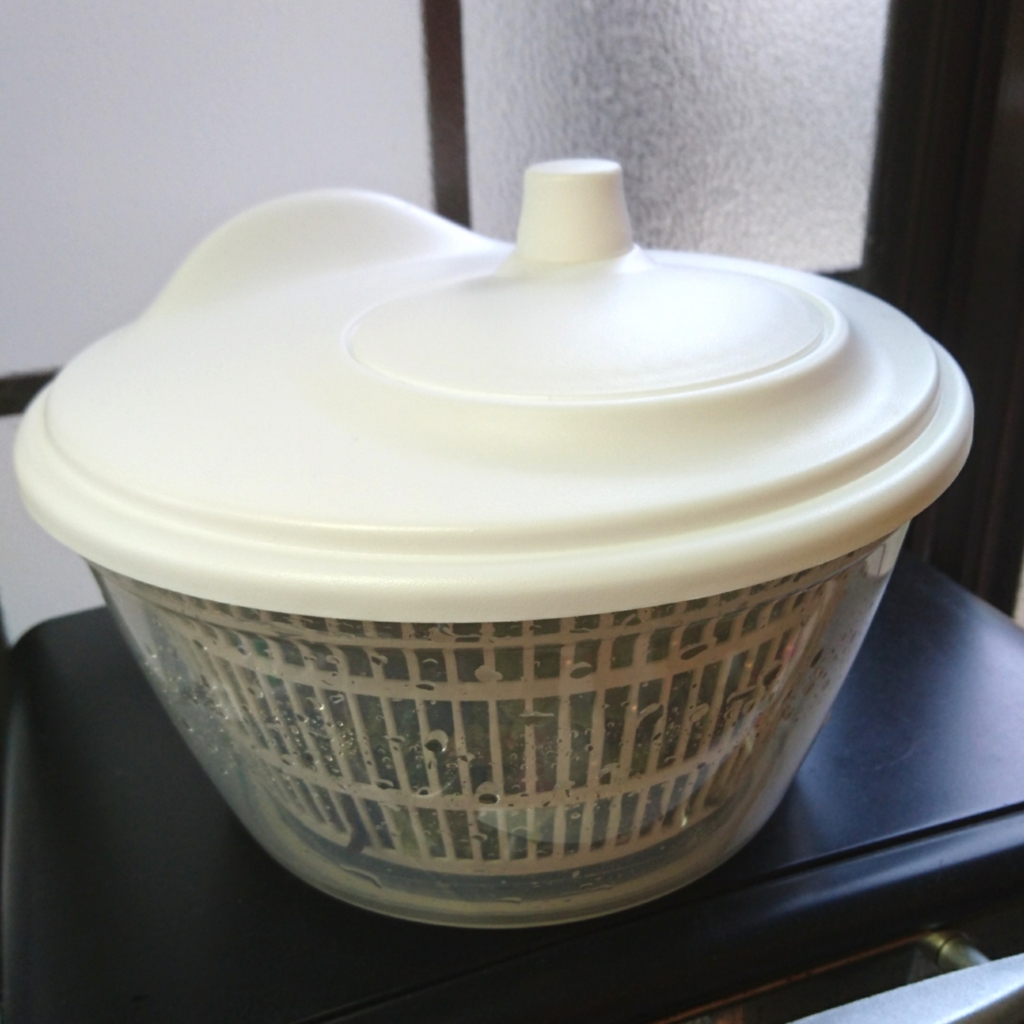 f:id:yanokenta32:20170522204636j:plain:w350