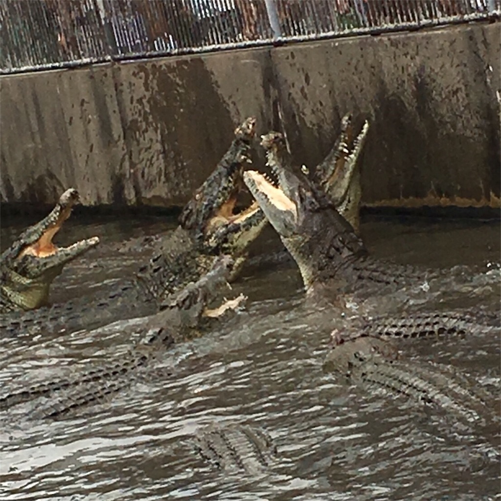 f:id:yanoyu22:20170807233826j:image