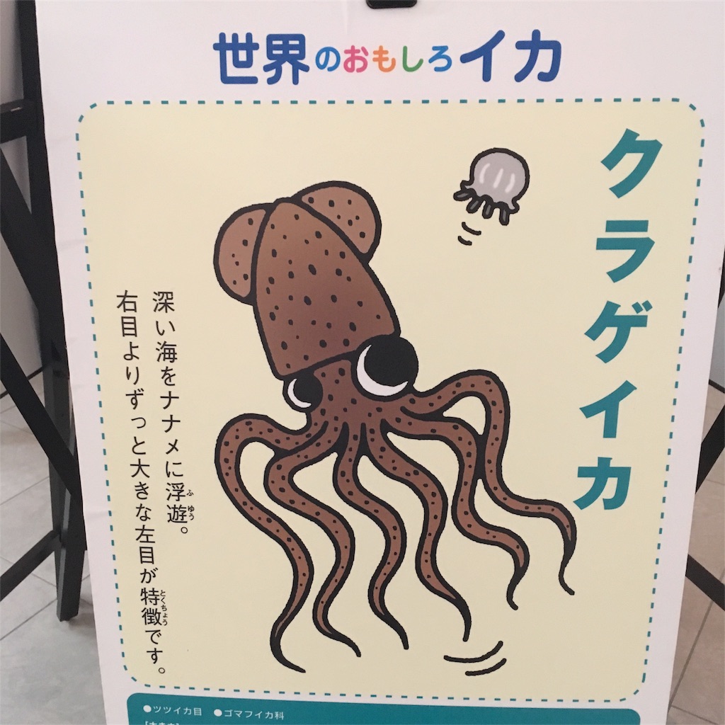 f:id:yanoyu22:20170815165243j:image