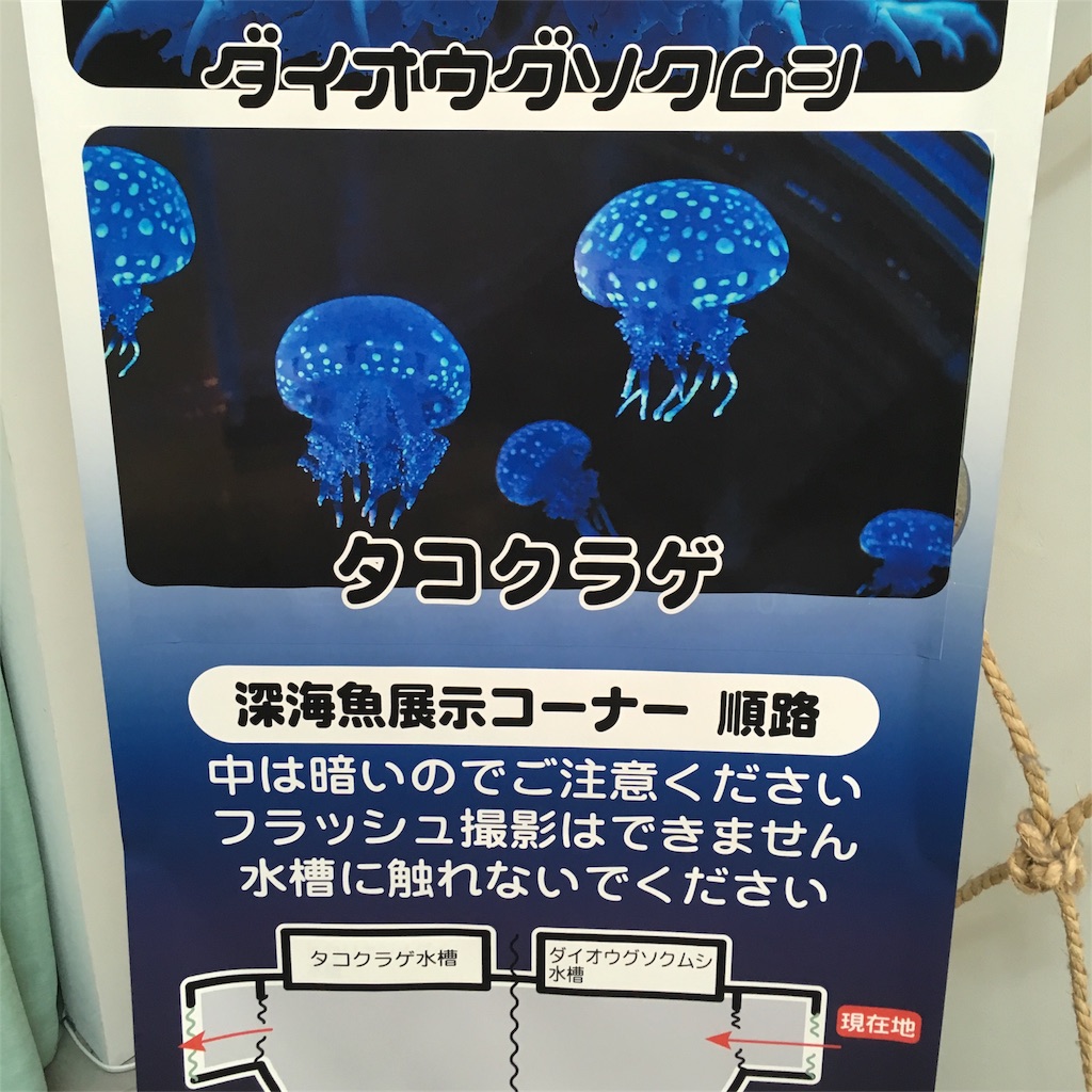 f:id:yanoyu22:20170815165326j:image