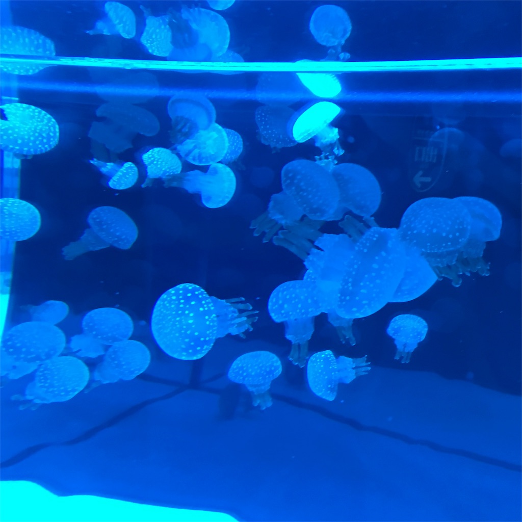 f:id:yanoyu22:20170815165411j:image