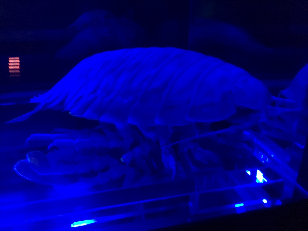 f:id:yanoyu22:20170815165532j:image