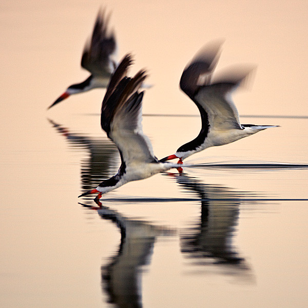 f:id:yanretro:20090713201541j:image:h200 f:id:yanretro:20090713201541j:image:h200