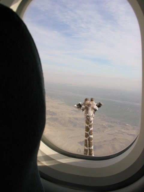 f:id:yanretro:20120430160540j:image:right:h200 f:id:yanretro:20120430160540j:image:right:h200