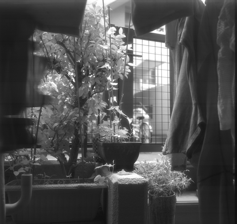 f:id:yanretro:20120807191653j:image:h200