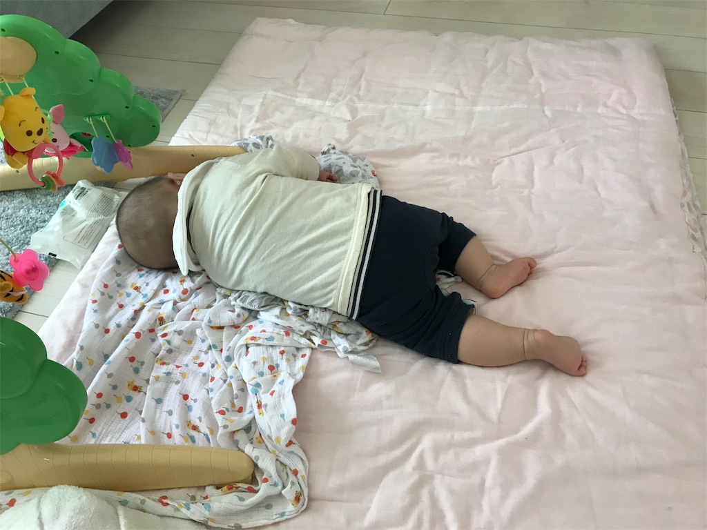 f:id:yansomam:20190515155818j:image f:id:yansomam:20190515155818j:image