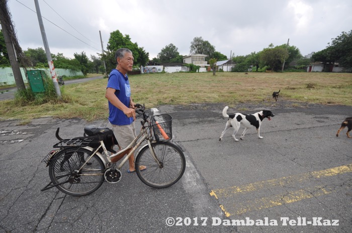 f:id:yanvalou:20170629050603j:plain