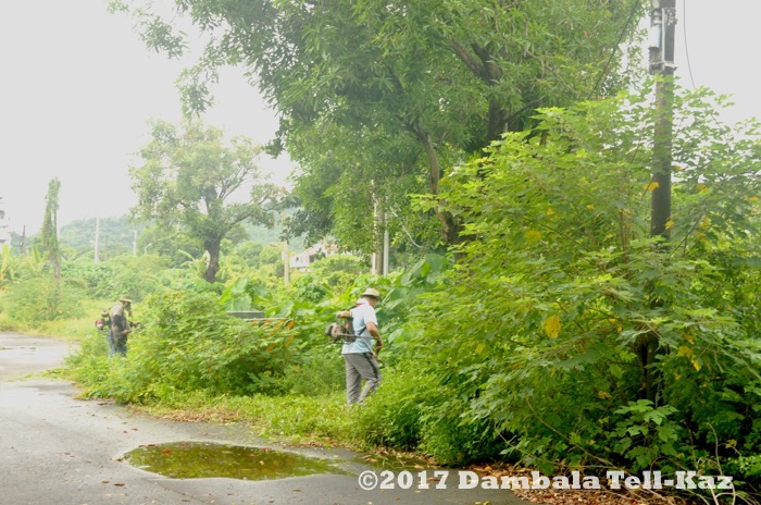 f:id:yanvalou:20170629053127j:plain