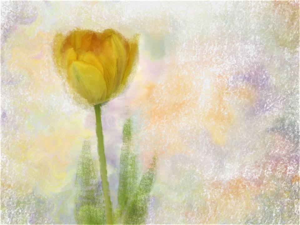 f:id:yanvalou:20180521165954j:plain f:id:yanvalou:20180521165954j:plain