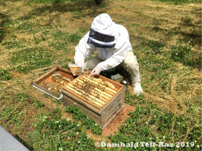 f:id:yanvalou:20190629102920j:plain