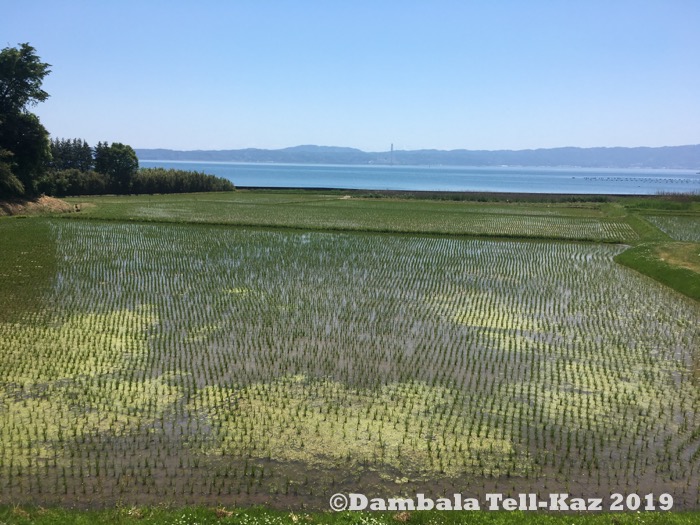 f:id:yanvalou:20190702111328j:plain
