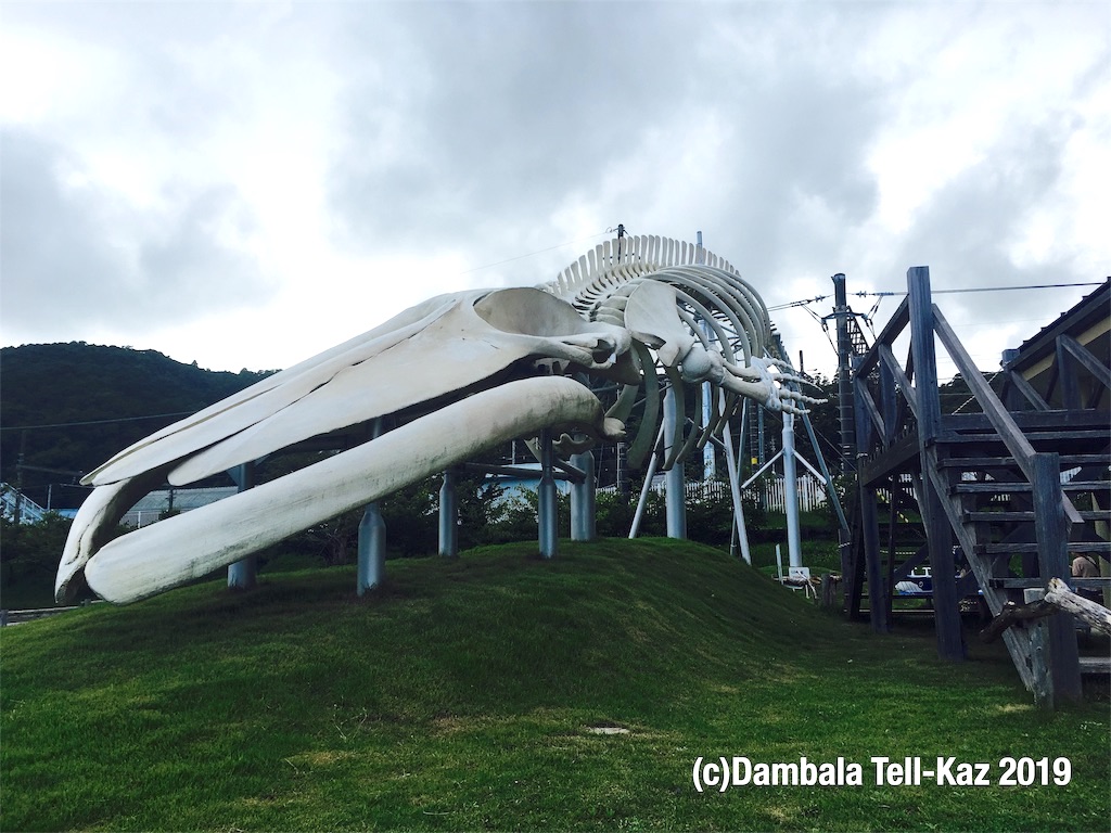 f:id:yanvalou:20190813173918j:plain f:id:yanvalou:20190813173918j:plain