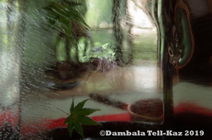 f:id:yanvalou:20190818104559j:plain f:id:yanvalou:20190818104559j:plain