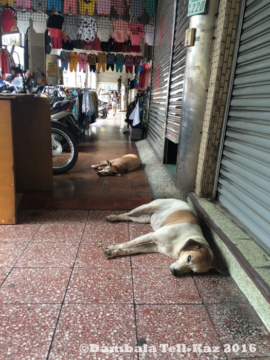 f:id:yanvalou:20200820055926j:plain f:id:yanvalou:20200820055926j:plain