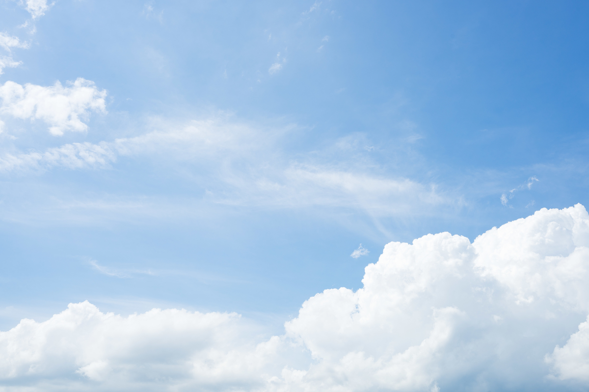 徐言偉、中国武術指導