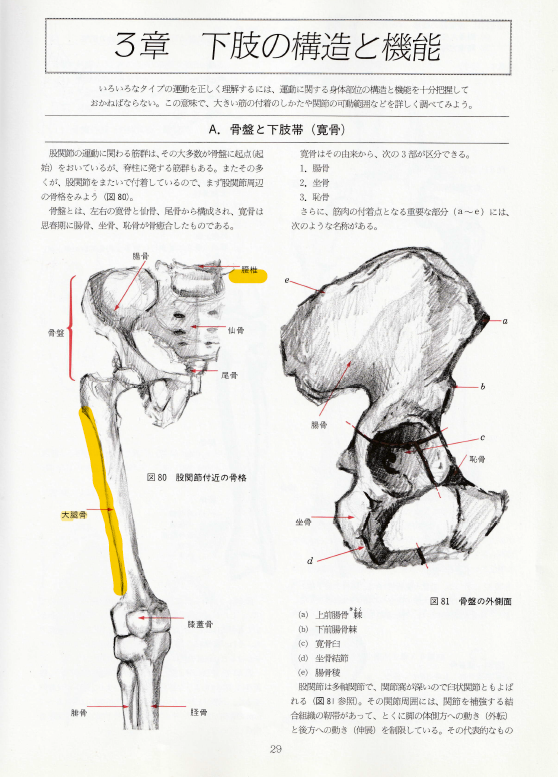 健康の為の太極拳で 膝を痛める ことがある その原因とは 太極拳とカンフーのブログ 天天練功夫