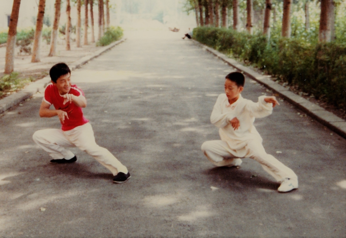 中国武術 の山ほどある種類 速い武術 拳法編 太極拳とカンフーのブログ 天天練功夫