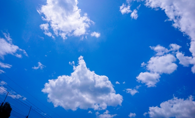 カンフー試合後 お疲れ様