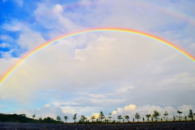 子供 個性 多様性