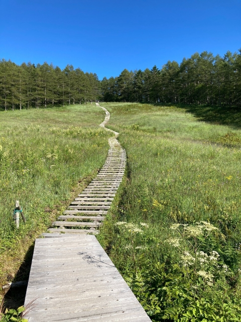 子供の成長は一歩ずつ