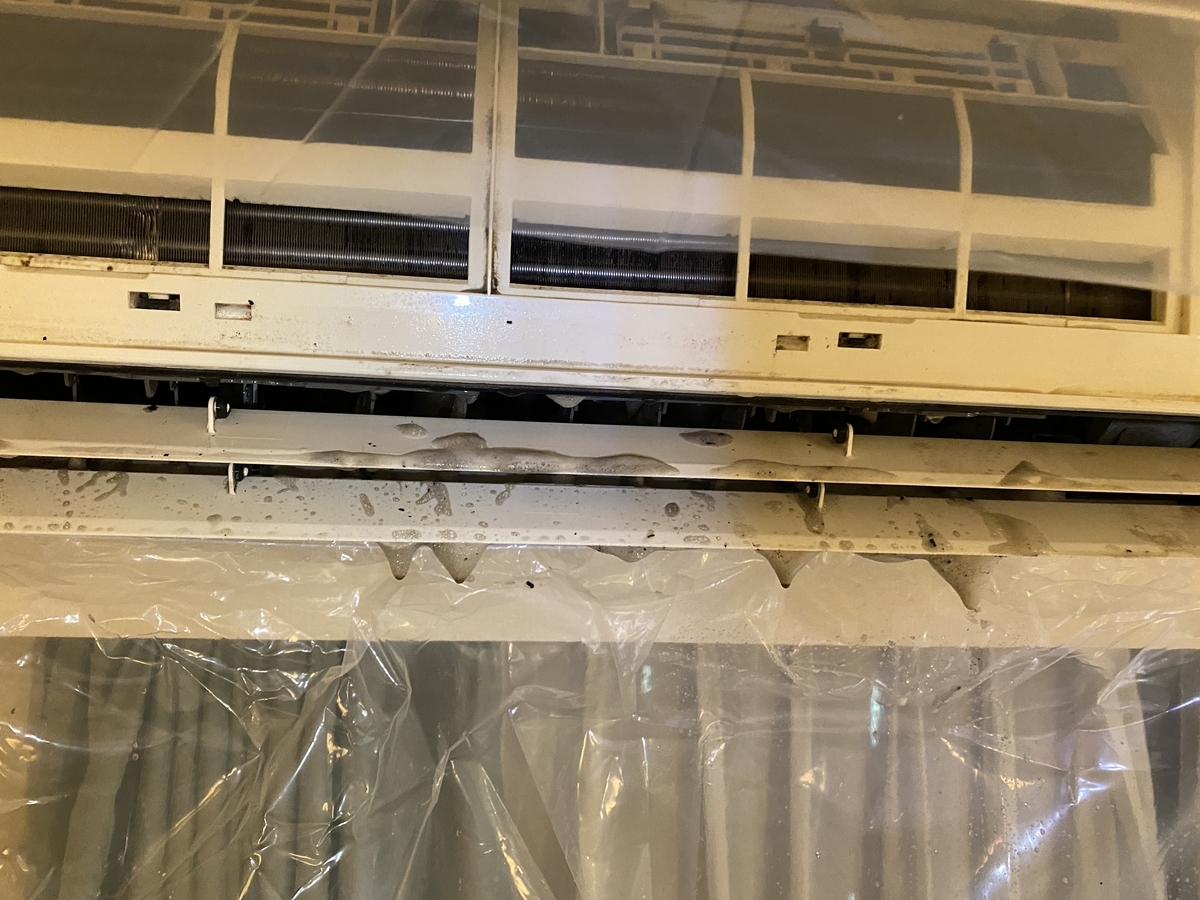 f:id:yanyam:20200823143452j:plain