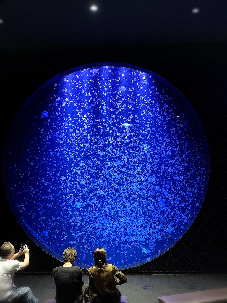f:id:yaonenosekai:20251007210416j:image f:id:yaonenosekai:20251007210416j:image