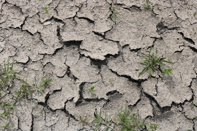ひび割れ尻の原因を探ってみました 座りすぎでガサガサになったお尻からの脱却を目指すブログ