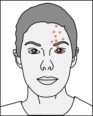 f:id:yapud:20211117215446p:plain