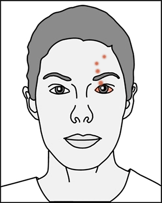 f:id:yapud:20211117215448p:plain