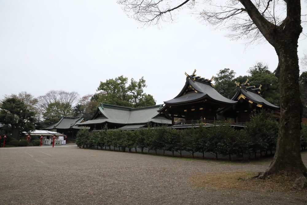f:id:yapuu-rider:20191211204408j:plain f:id:yapuu-rider:20191211204408j:plain