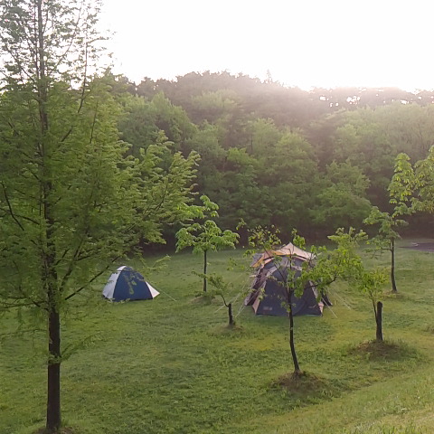 f:id:yas-99:20170508100522j:plain f:id:yas-99:20170508100522j:plain