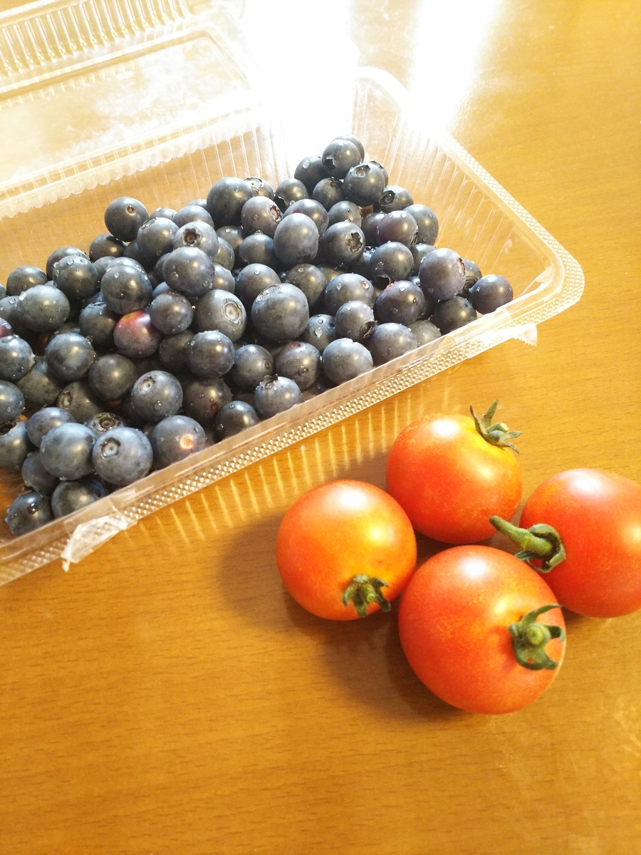 f:id:yasa41:20190703121409j:plain f:id:yasa41:20190703121409j:plain