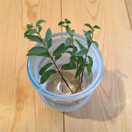 f:id:yasai18:20170916142710j:image:w250