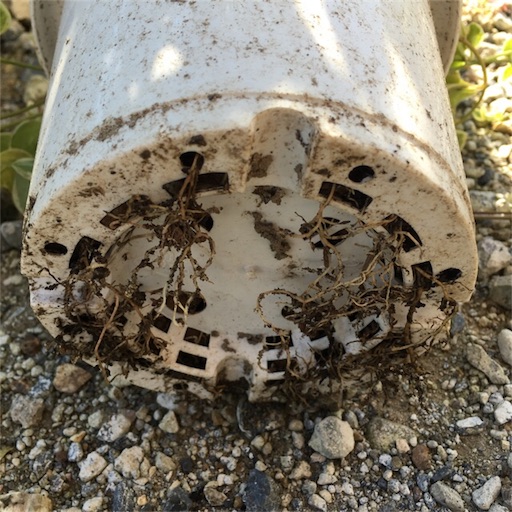 f:id:yasai18:20170930203456j:image:w250