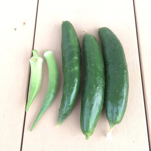 夏野菜 夏野菜