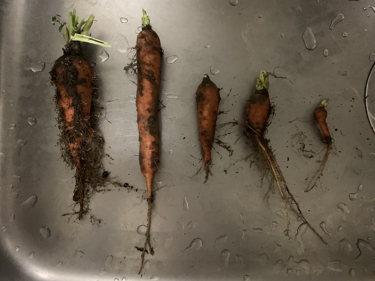 f:id:yasai414:20200924225802j:plain