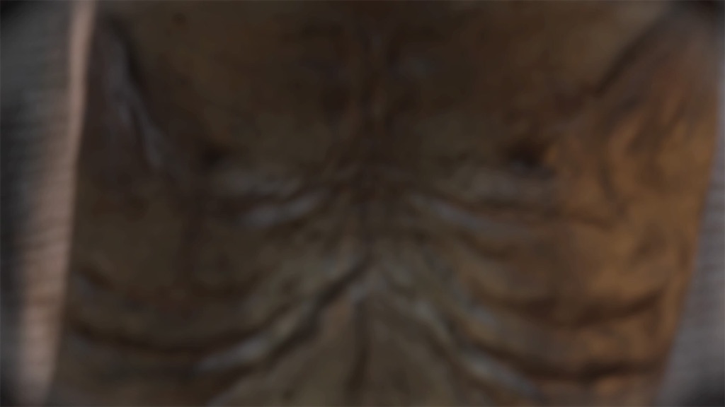 f:id:yasaiprpr:20190616142940j:image