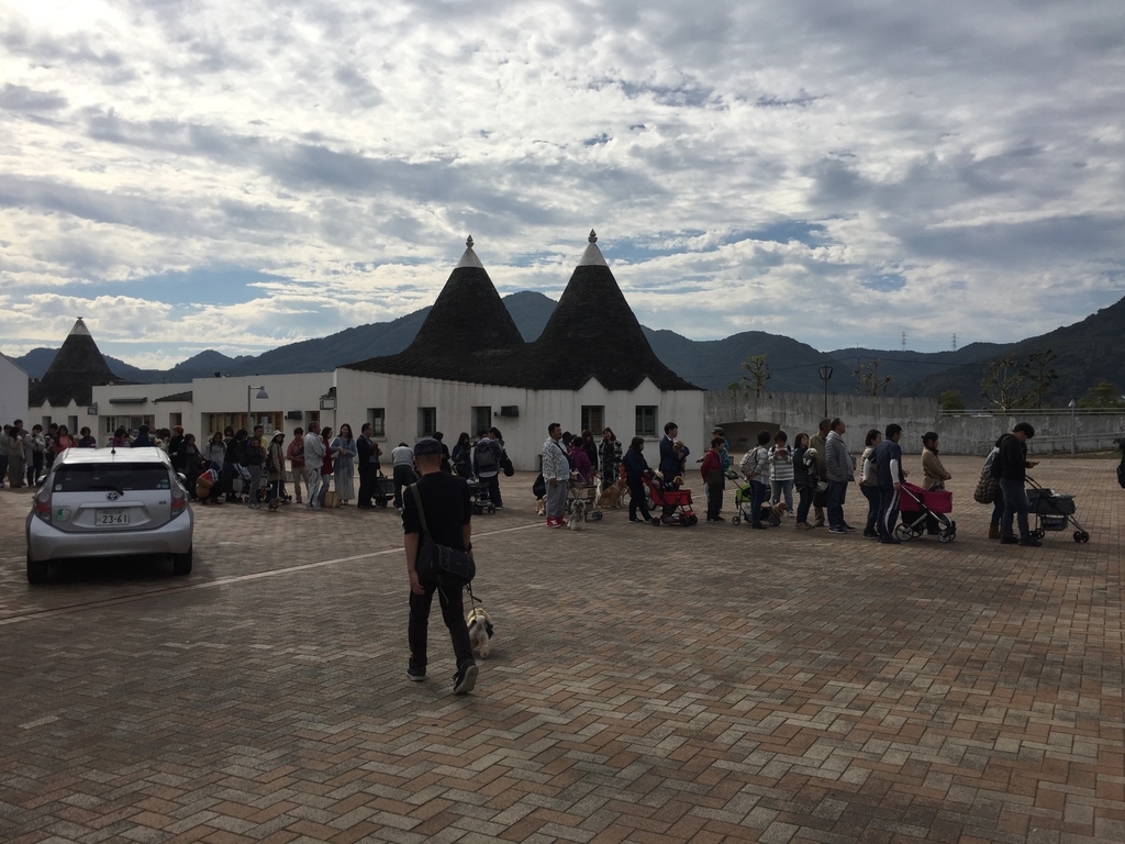 f:id:yasaka-ah:20181111144806j:plain