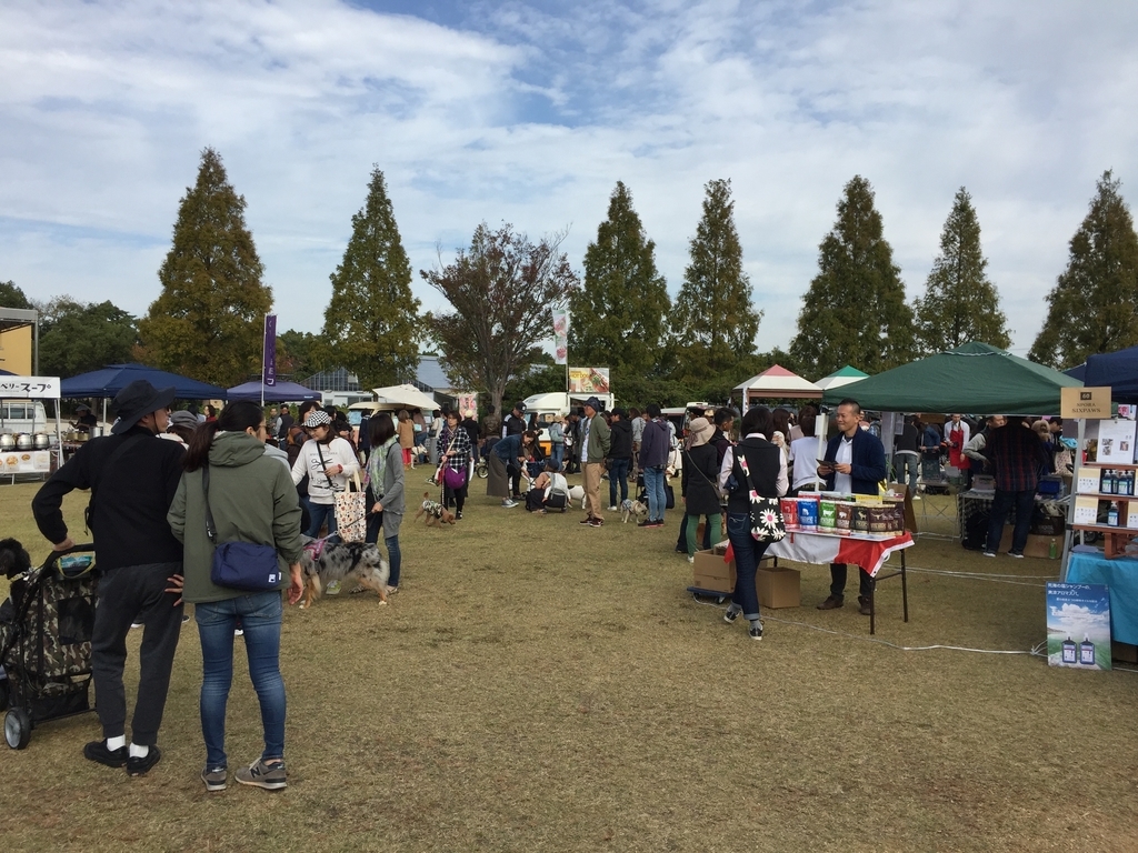 f:id:yasaka-ah:20181111145400j:plain